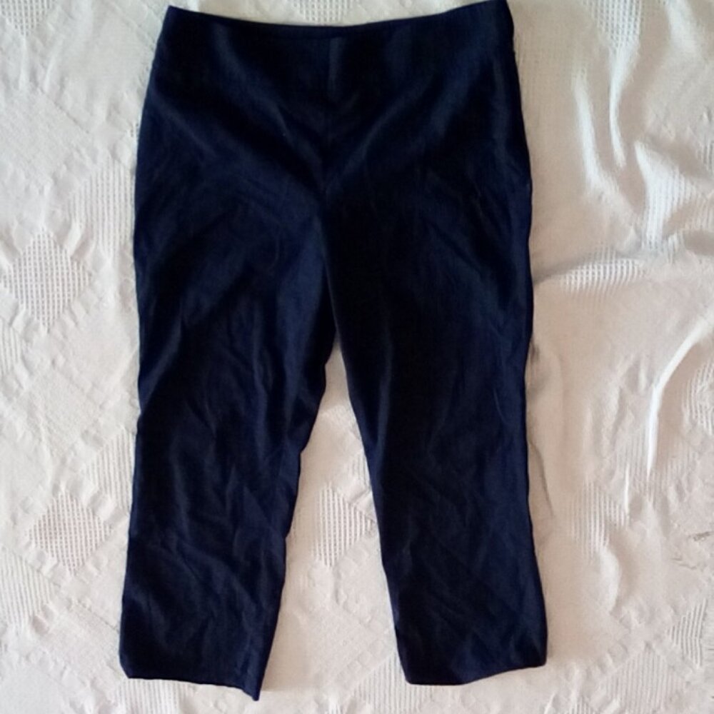Akris Women's Wool/ Cotton Blend Pants Waist 34 ( Doubled) Inseam 26" Rise 13"